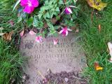 image of grave number 164173